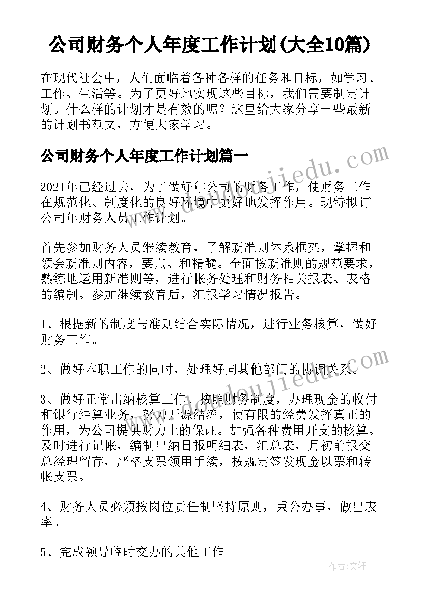 公司财务个人年度工作计划(大全10篇)