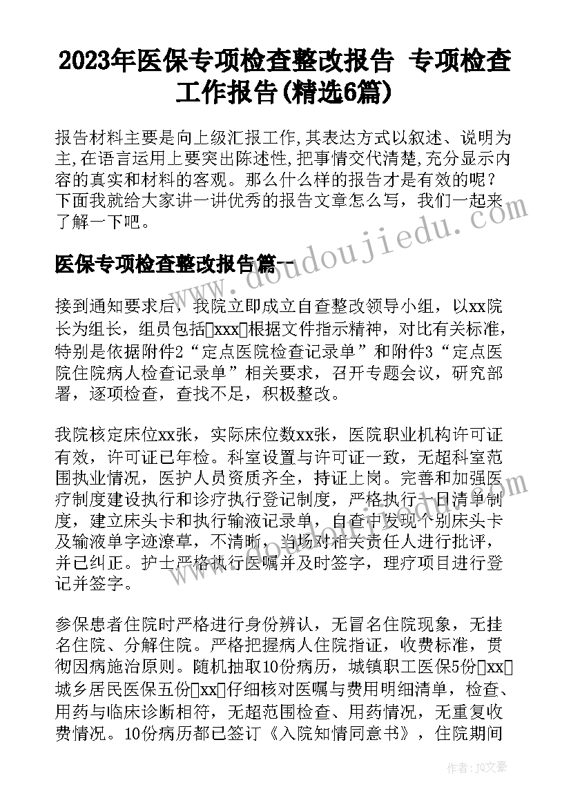 2023年医保专项检查整改报告 专项检查工作报告(精选6篇)