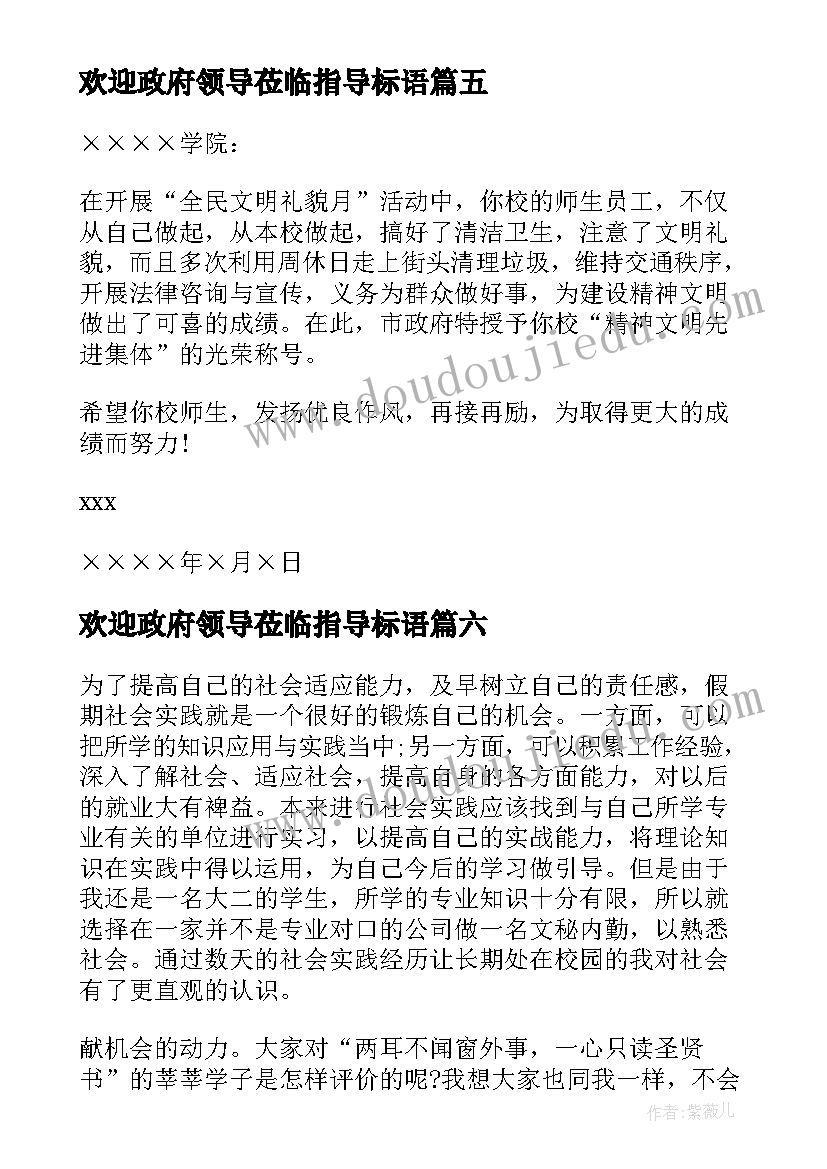 欢迎政府领导莅临指导标语(模板10篇)