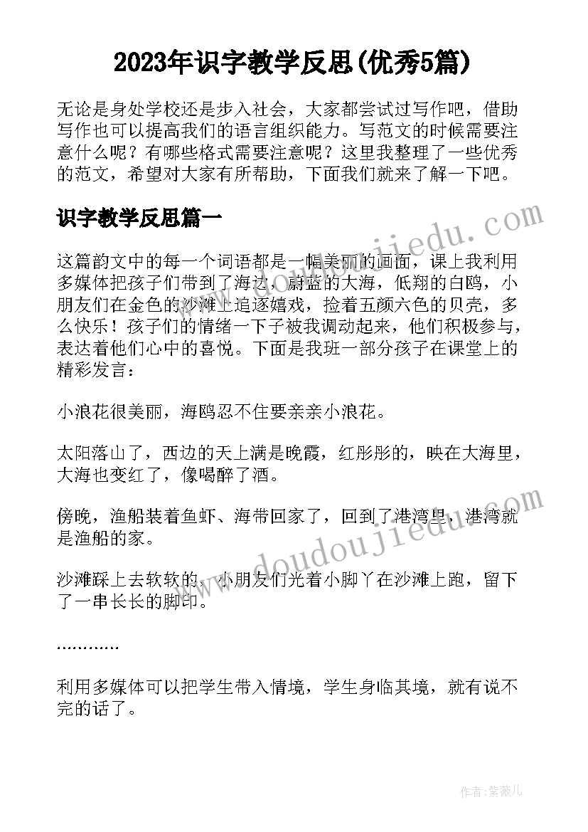 2023年识字教学反思(优秀5篇)