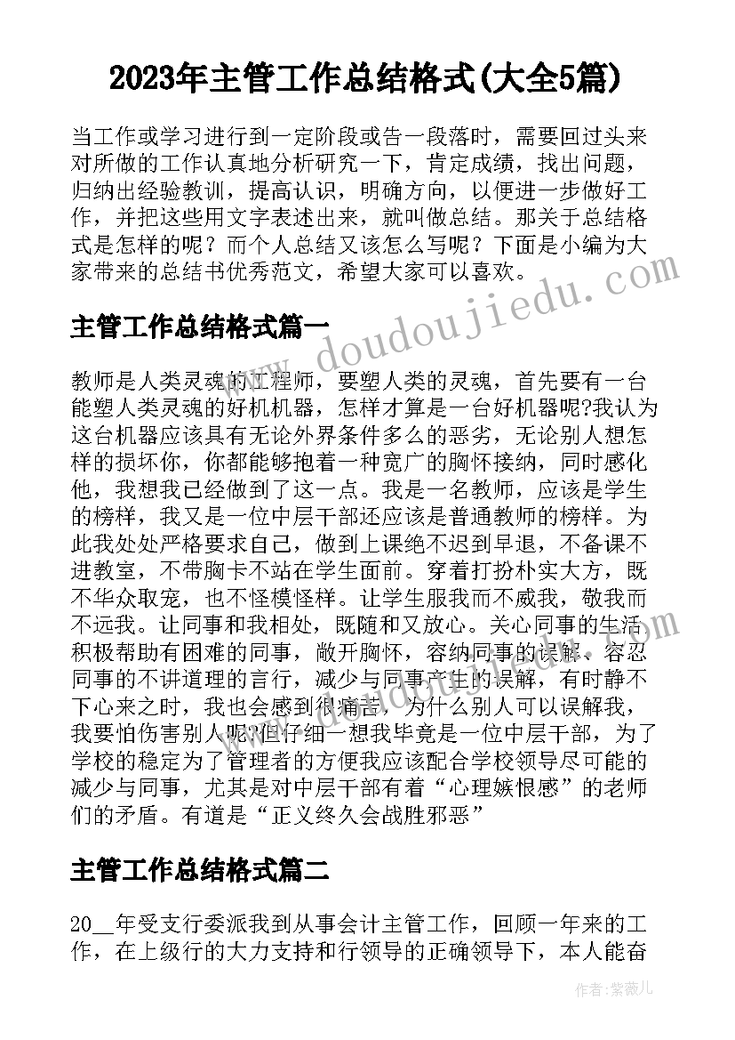 2023年主管工作总结格式(大全5篇)