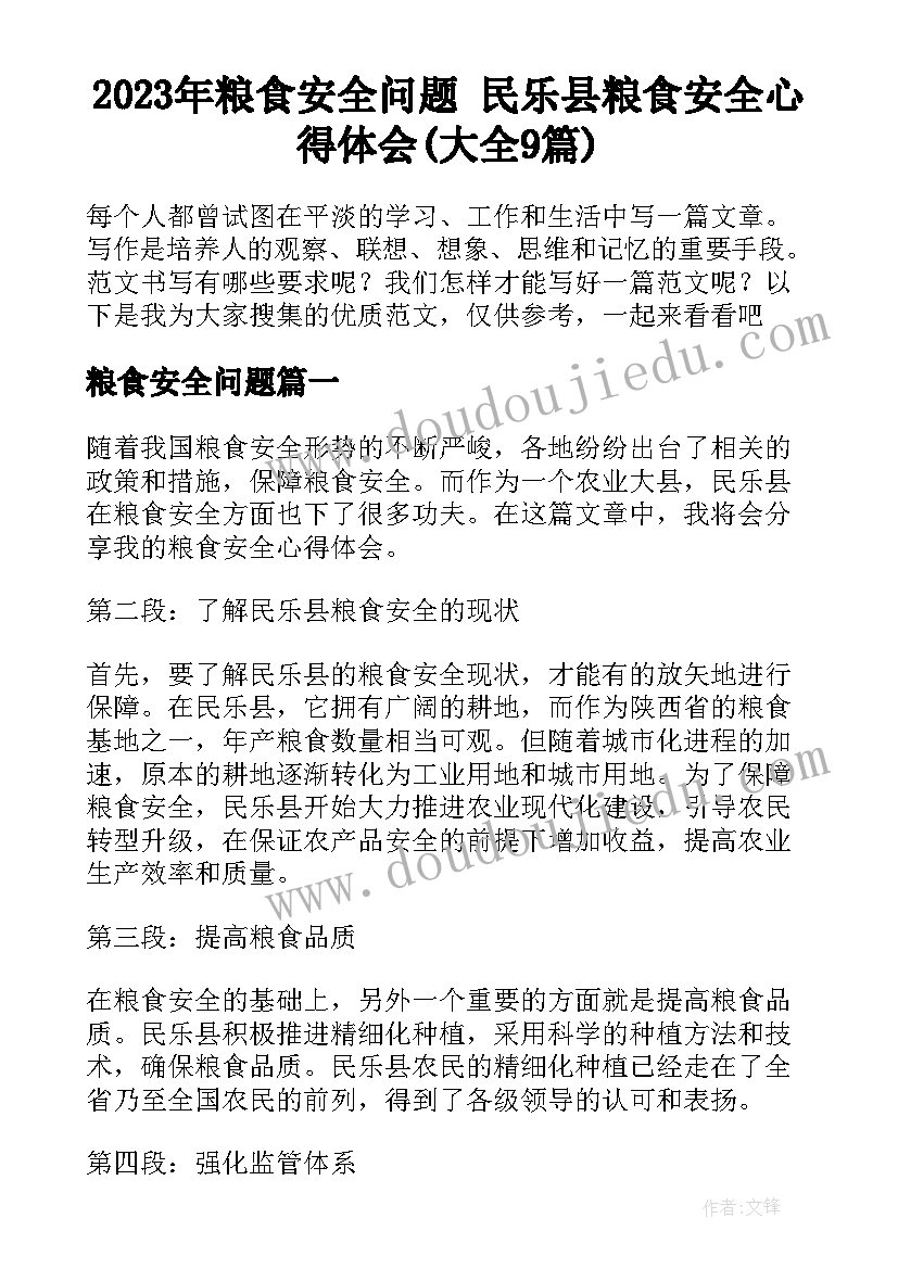 2023年粮食安全问题 民乐县粮食安全心得体会(大全9篇)