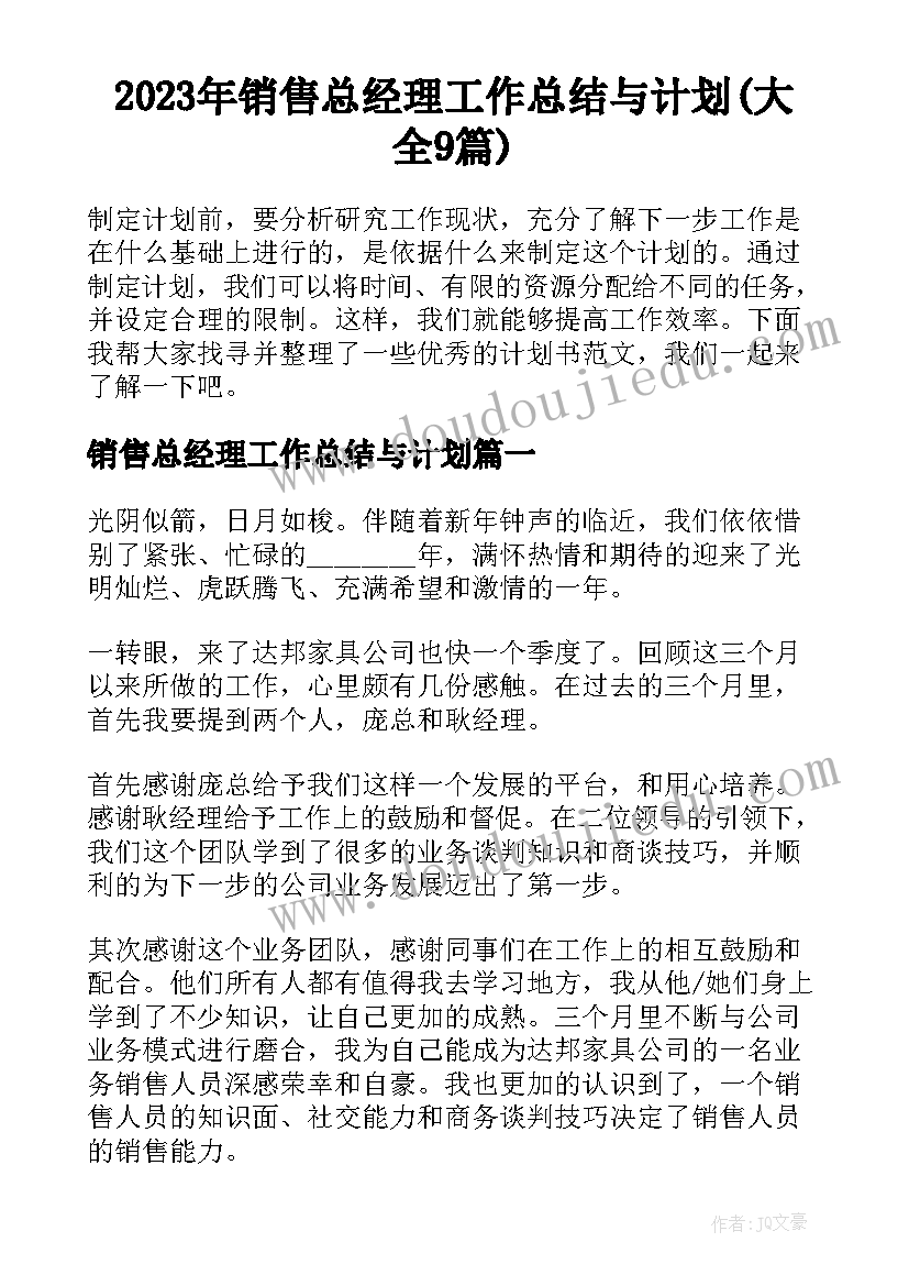 2023年销售总经理工作总结与计划(大全9篇)