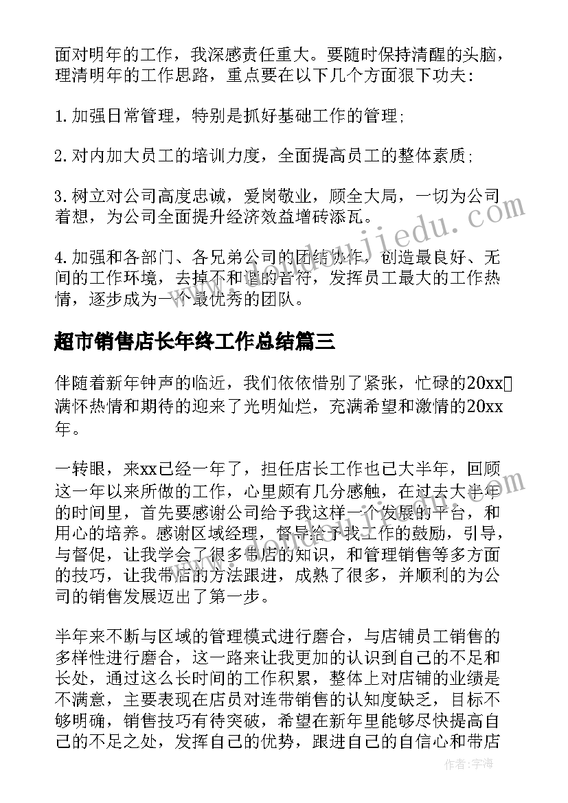 2023年超市销售店长年终工作总结 销售店长年终工作总结(优质5篇)