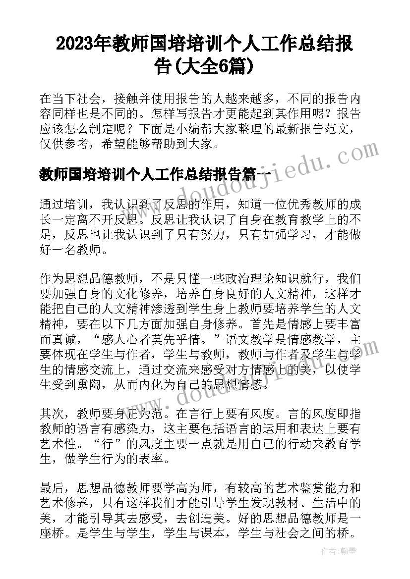 2023年教师国培培训个人工作总结报告(大全6篇)