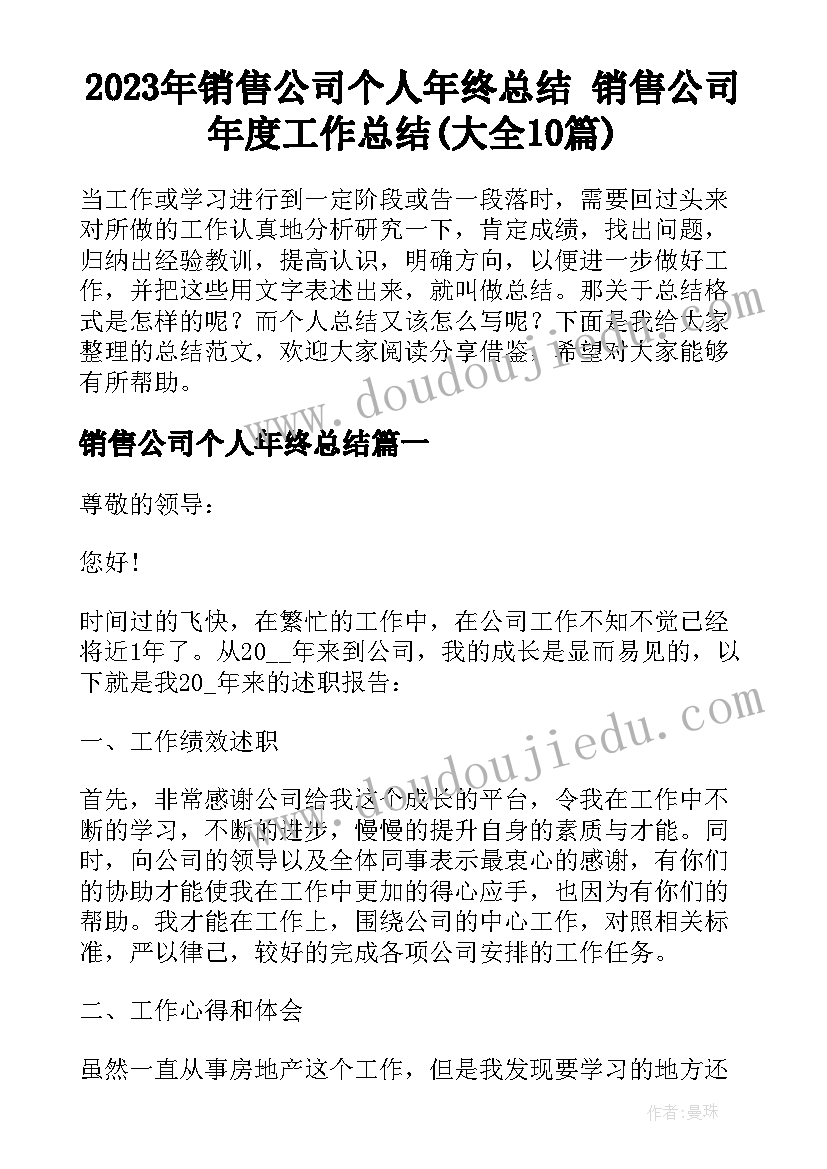 2023年销售公司个人年终总结 销售公司年度工作总结(大全10篇)