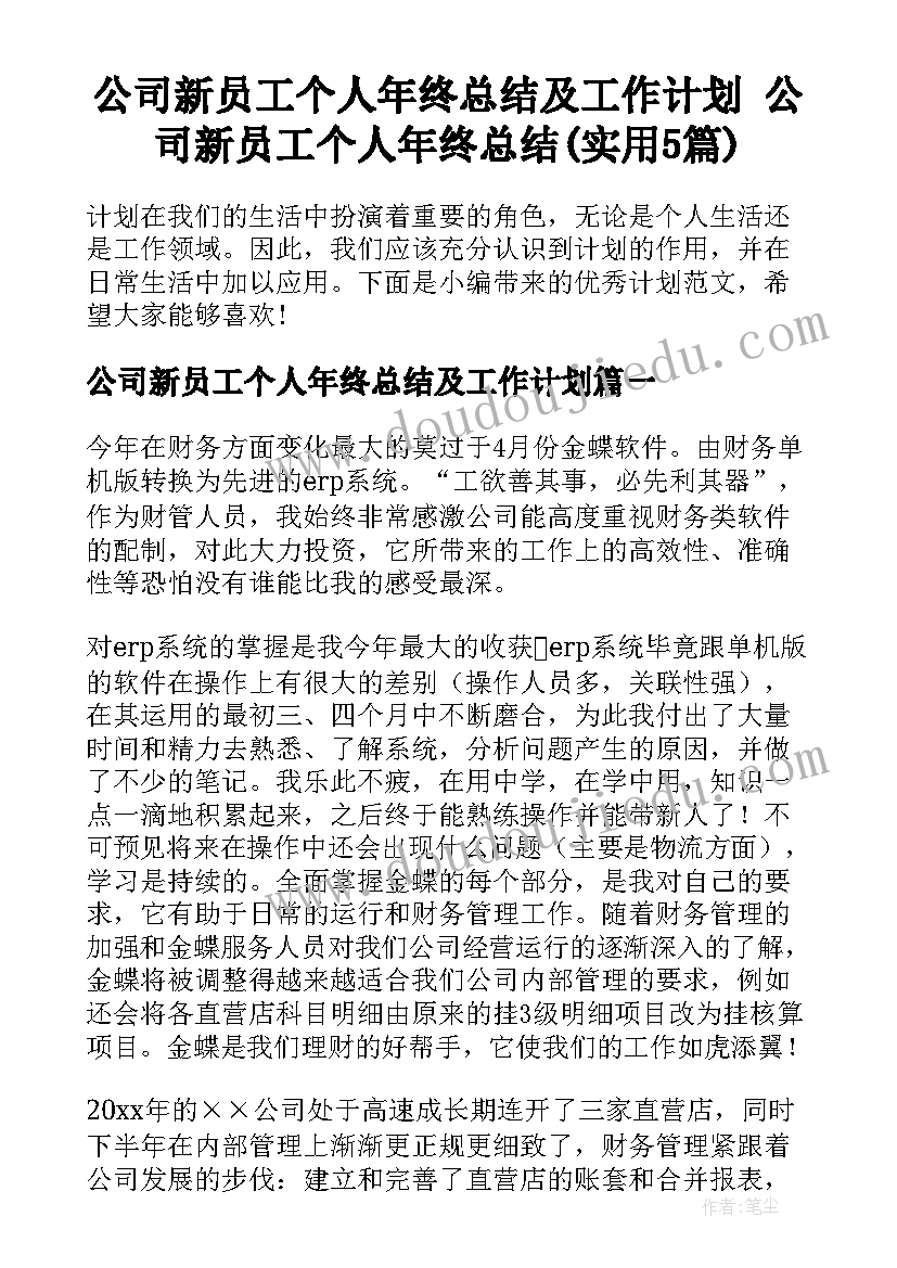 公司新员工个人年终总结及工作计划 公司新员工个人年终总结(实用5篇)