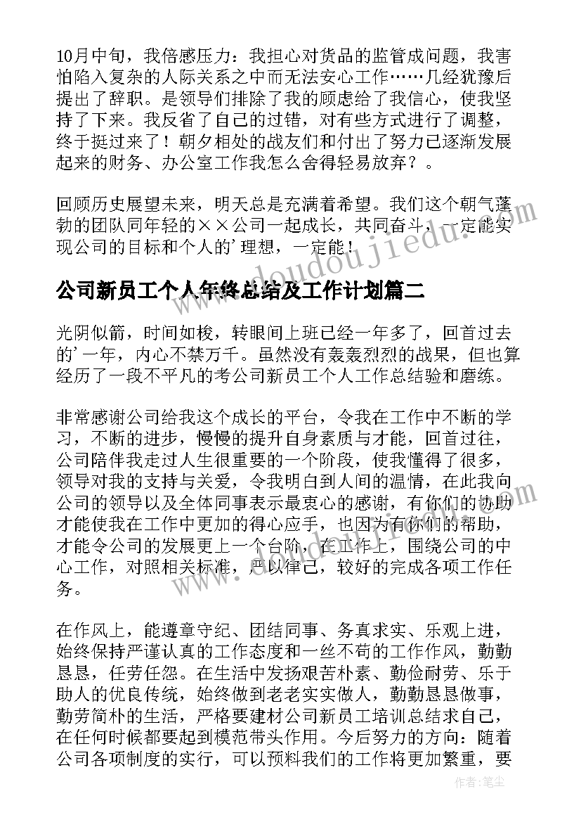 公司新员工个人年终总结及工作计划 公司新员工个人年终总结(实用5篇)