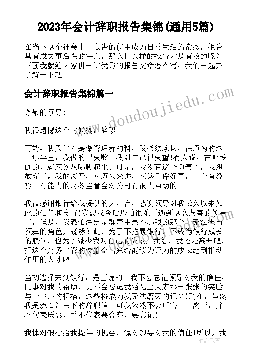 2023年会计辞职报告集锦(通用5篇)