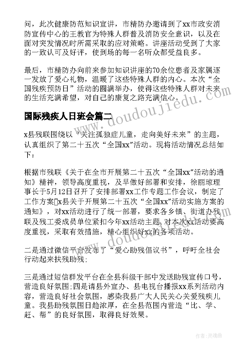 2023年国际残疾人日班会 全国残疾日活动总结(精选7篇)