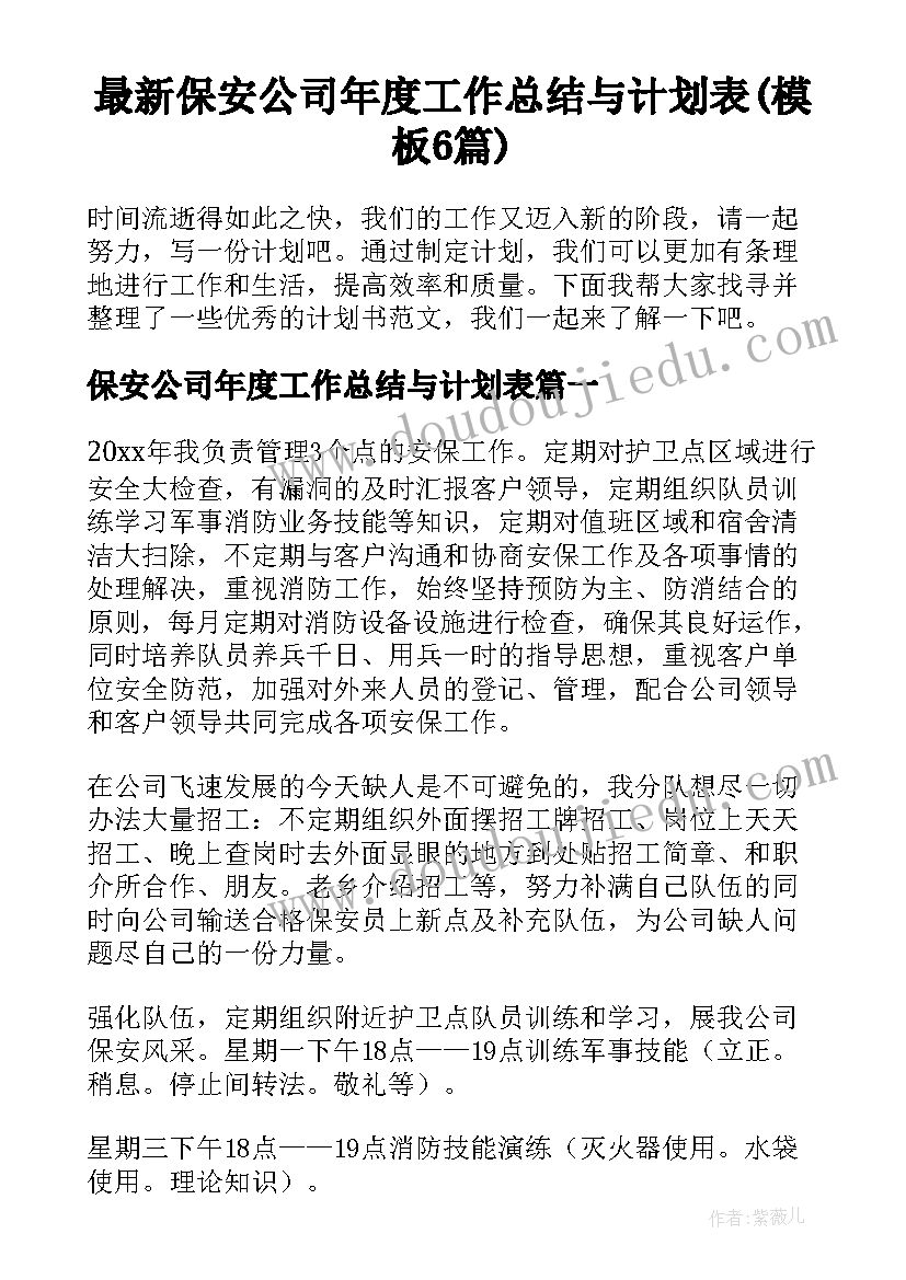 最新保安公司年度工作总结与计划表(模板6篇)