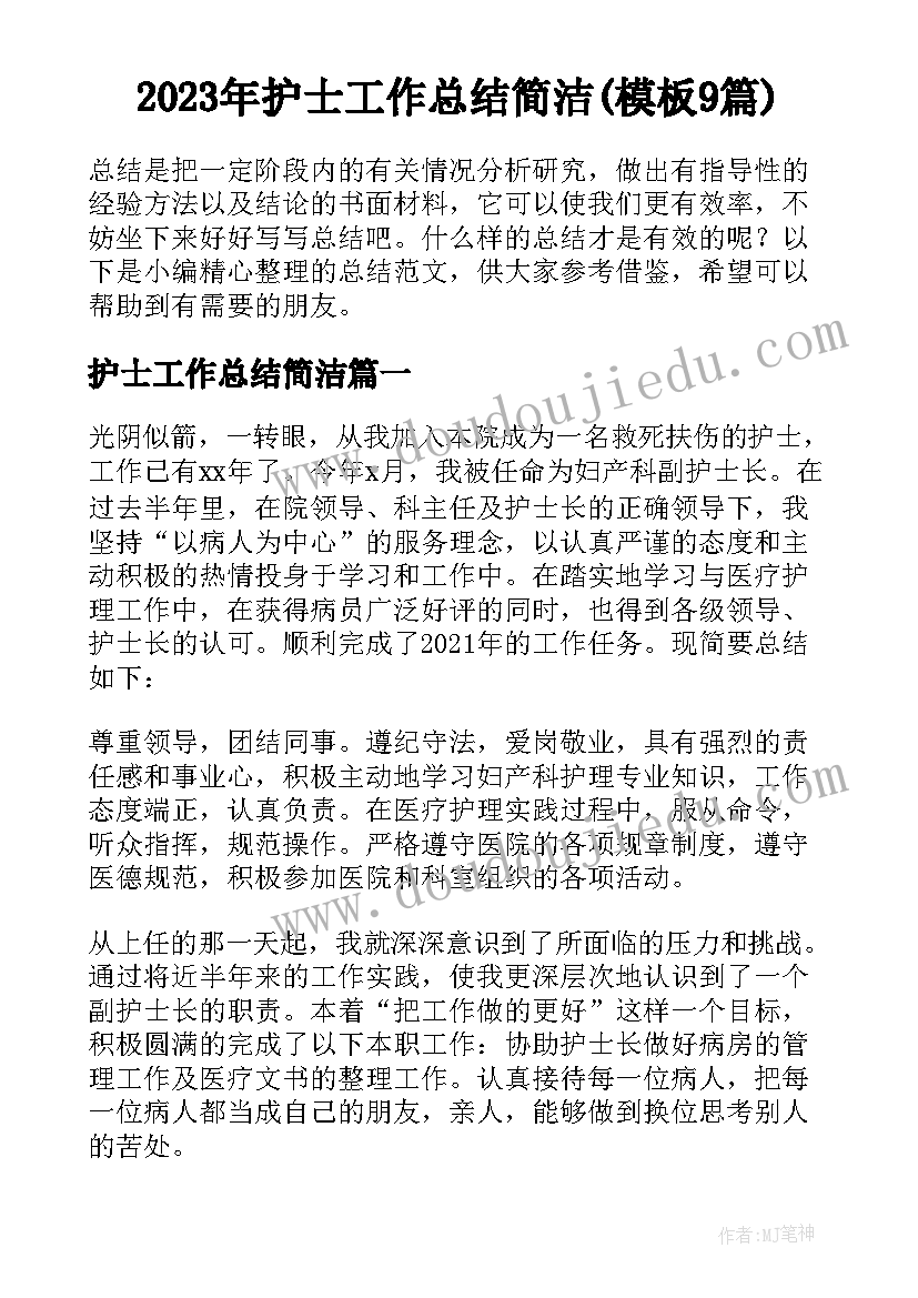 2023年护士工作总结简洁(模板9篇)