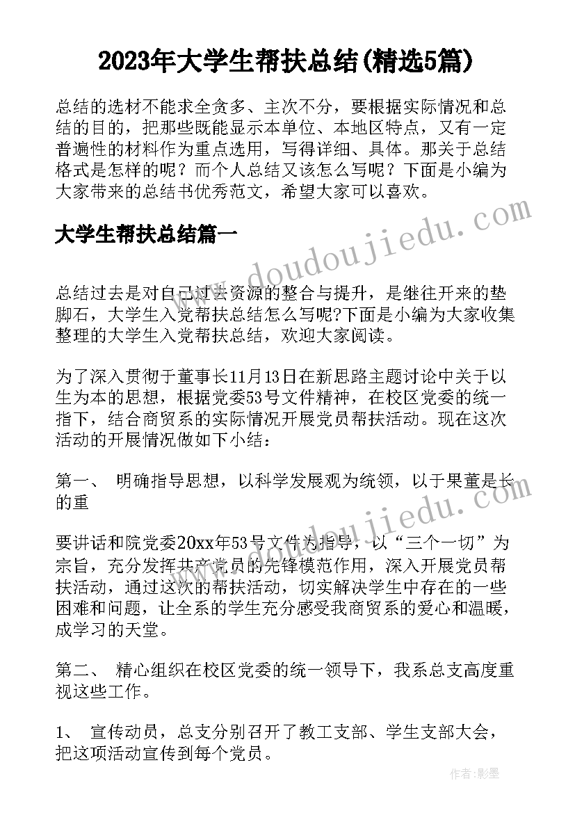 2023年大学生帮扶总结(精选5篇)