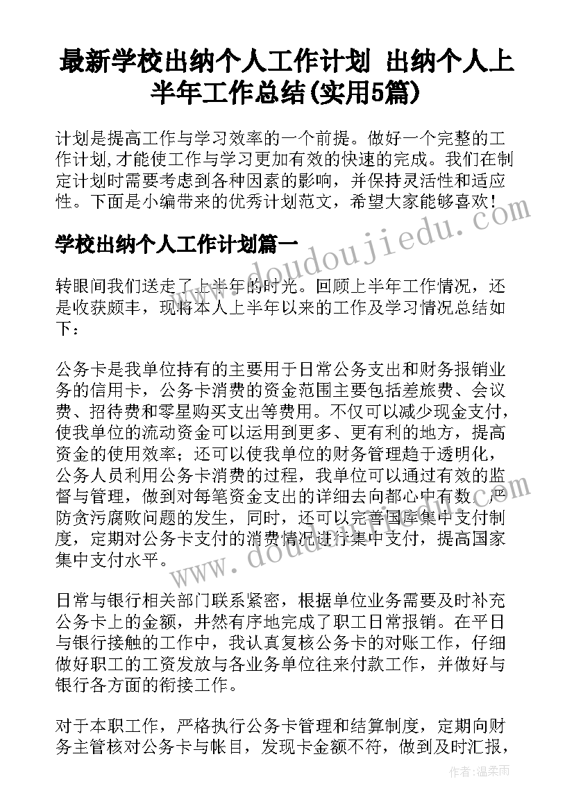 最新学校出纳个人工作计划 出纳个人上半年工作总结(实用5篇)