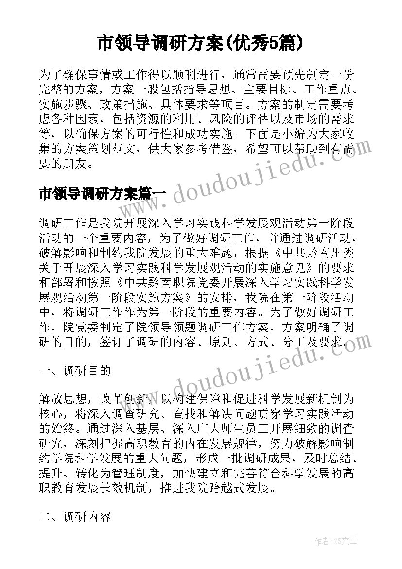 市领导调研方案(优秀5篇)