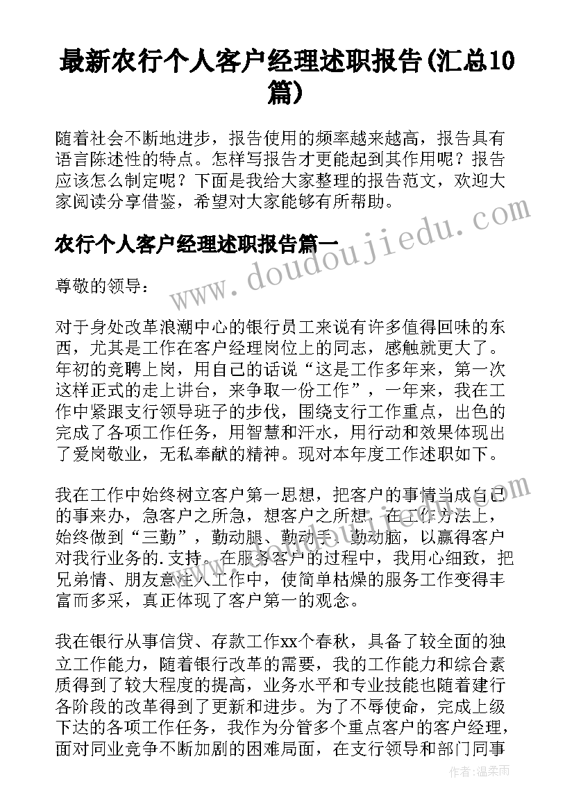 最新农行个人客户经理述职报告(汇总10篇)