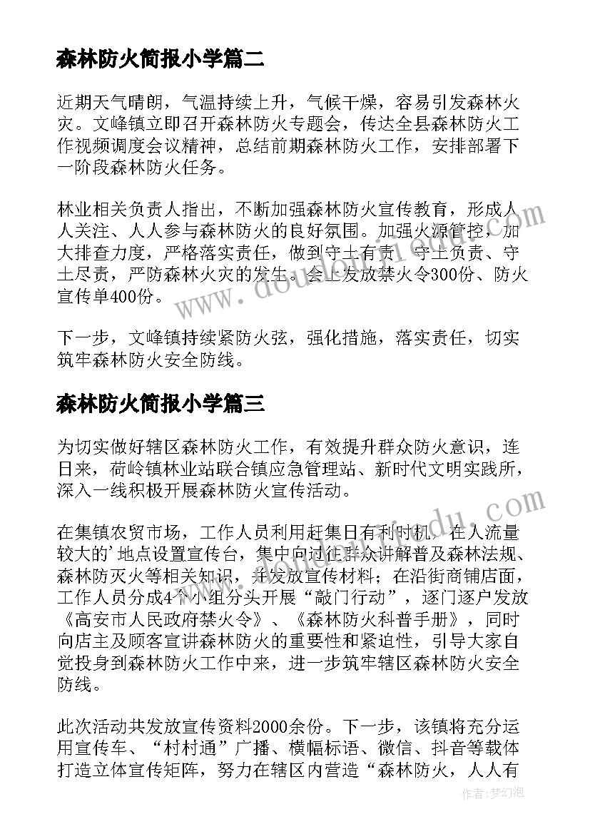 2023年森林防火简报小学(精选5篇)