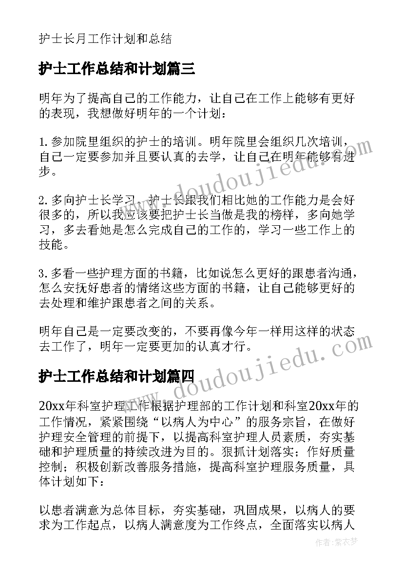 2023年护士工作总结和计划(模板8篇)