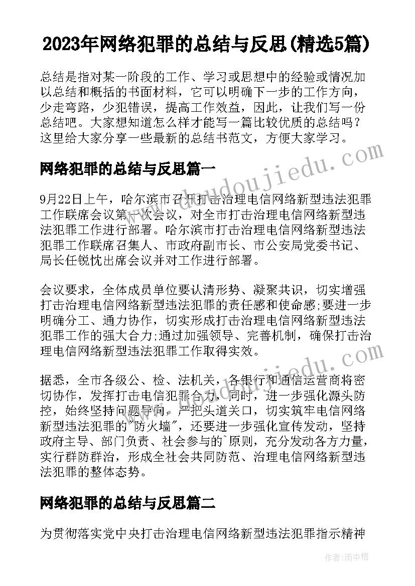 2023年网络犯罪的总结与反思(精选5篇)