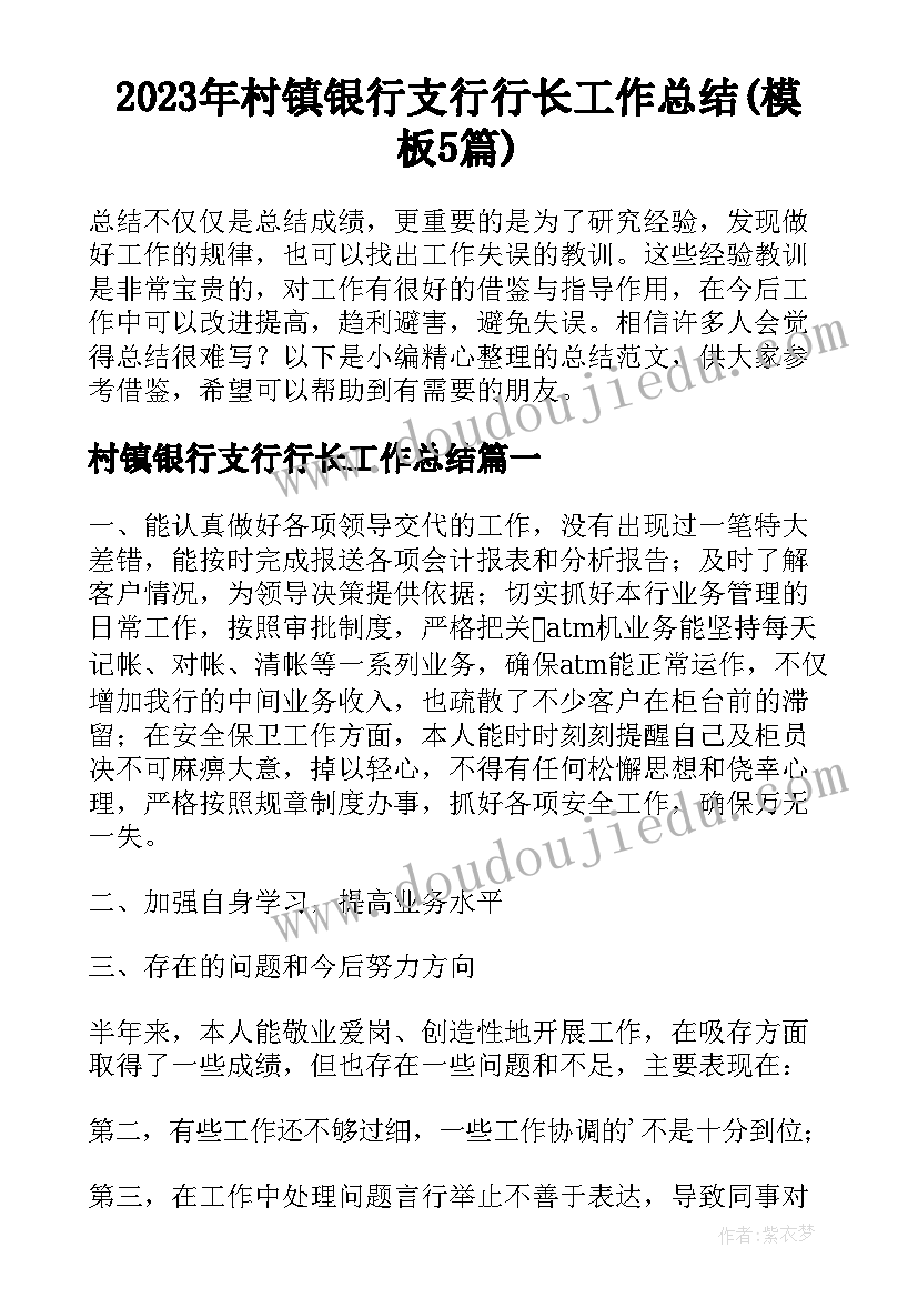 2023年村镇银行支行行长工作总结(模板5篇)