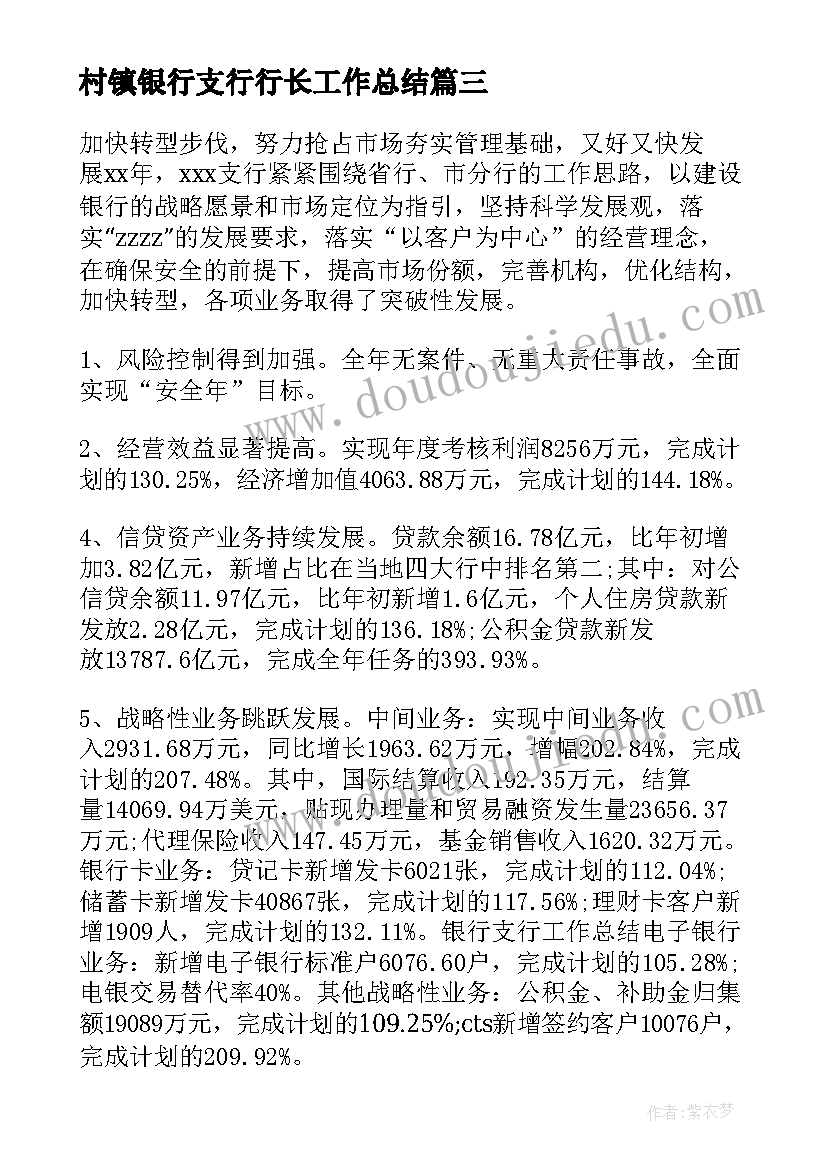 2023年村镇银行支行行长工作总结(模板5篇)