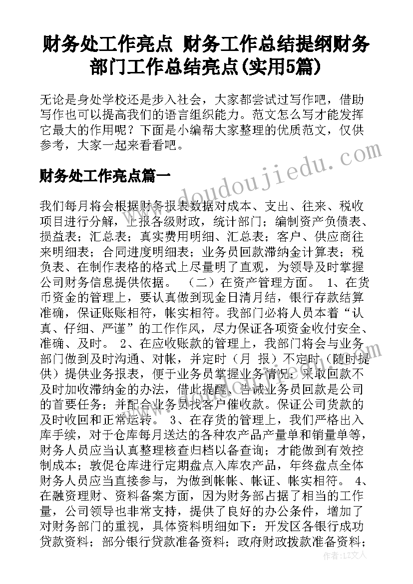 财务处工作亮点 财务工作总结提纲财务部门工作总结亮点(实用5篇)