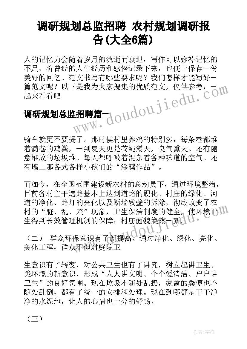 调研规划总监招聘 农村规划调研报告(大全6篇)