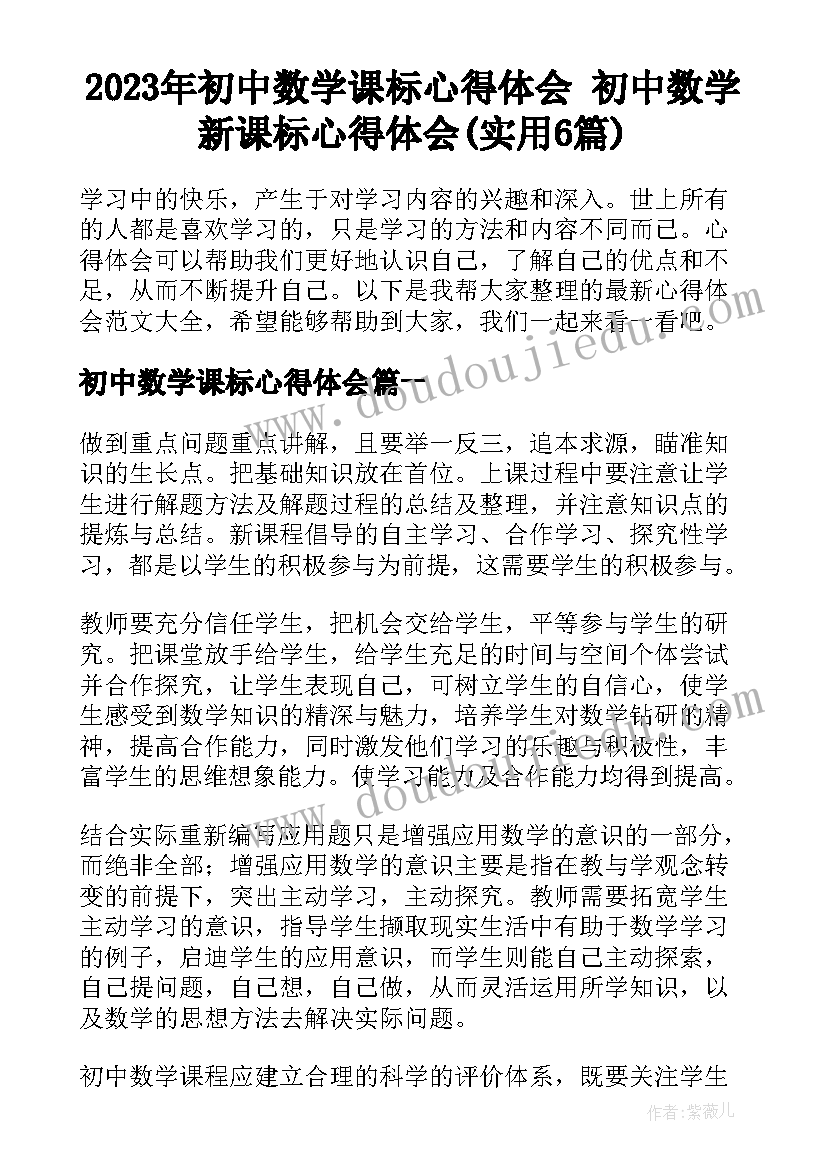 2023年初中数学课标心得体会 初中数学新课标心得体会(实用6篇)