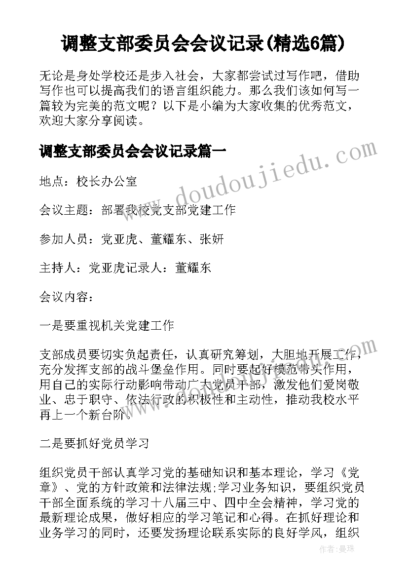 调整支部委员会会议记录(精选6篇)