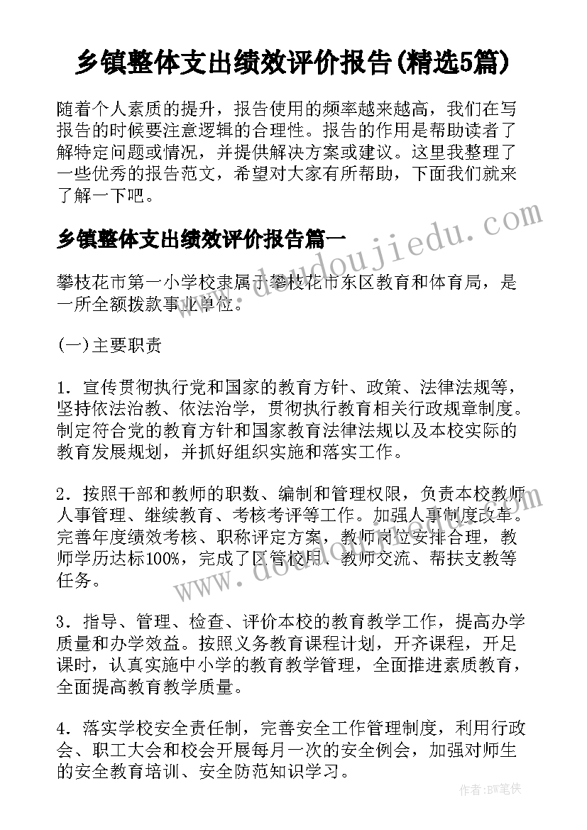 乡镇整体支出绩效评价报告(精选5篇)