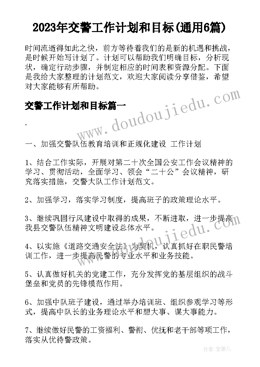 2023年交警工作计划和目标(通用6篇)