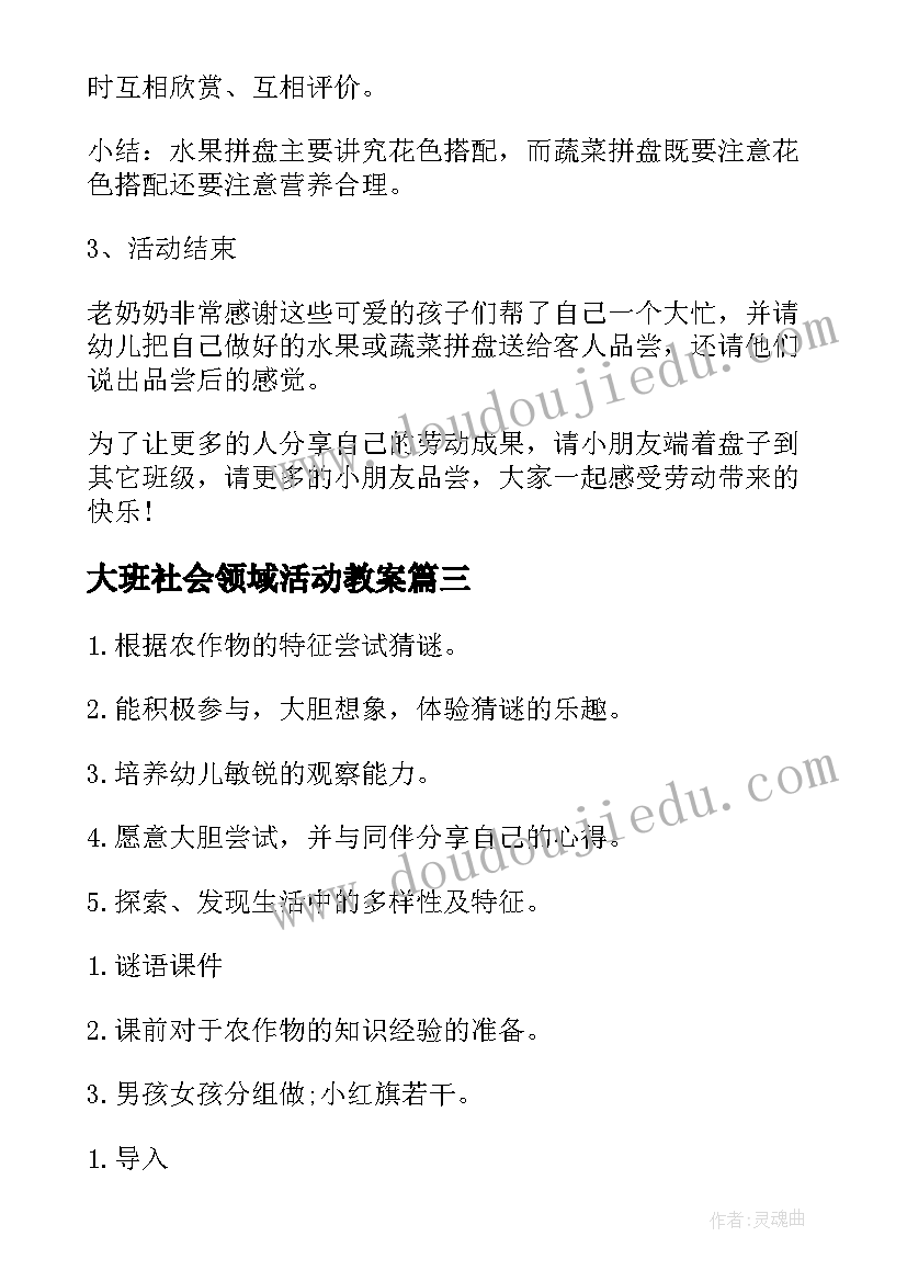 大班社会领域活动教案 大班社会领域活动方案(实用9篇)