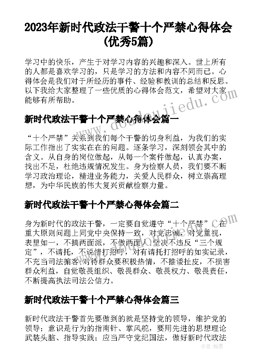 2023年新时代政法干警十个严禁心得体会(优秀5篇)