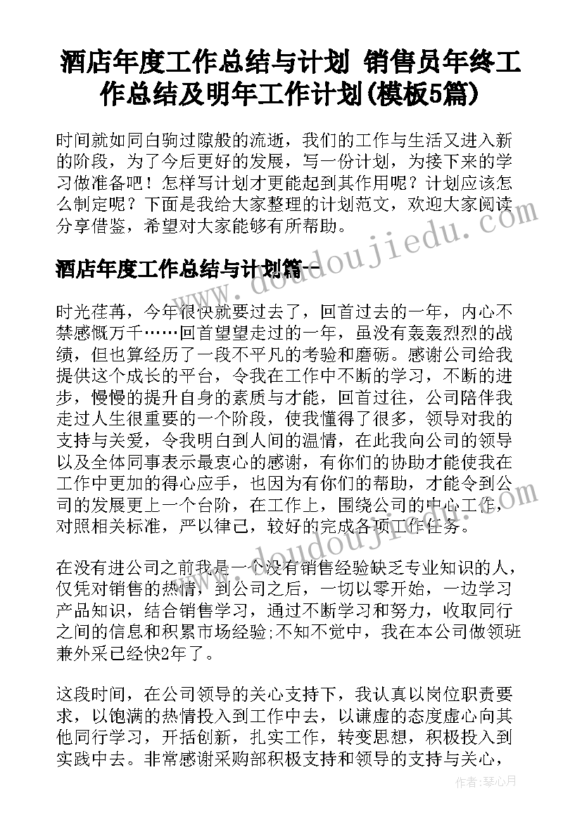 酒店年度工作总结与计划 销售员年终工作总结及明年工作计划(模板5篇)