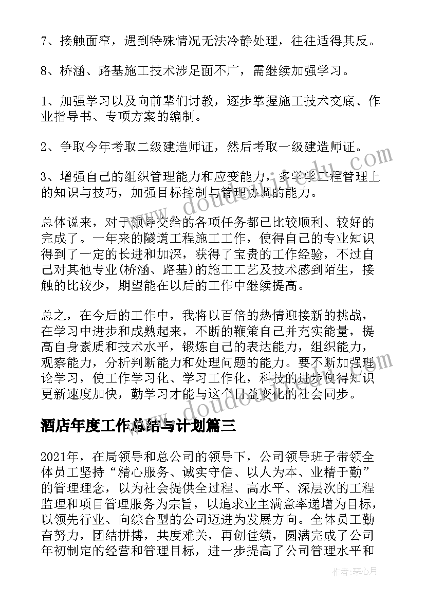 酒店年度工作总结与计划 销售员年终工作总结及明年工作计划(模板5篇)