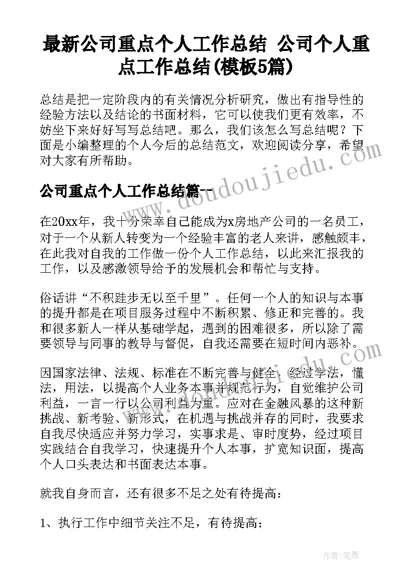 最新公司重点个人工作总结 公司个人重点工作总结(模板5篇)