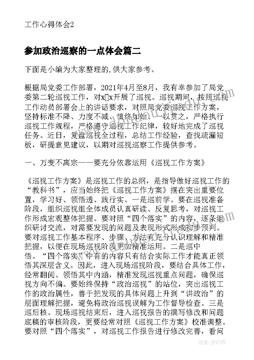 2023年参加政治巡察的一点体会(模板5篇)