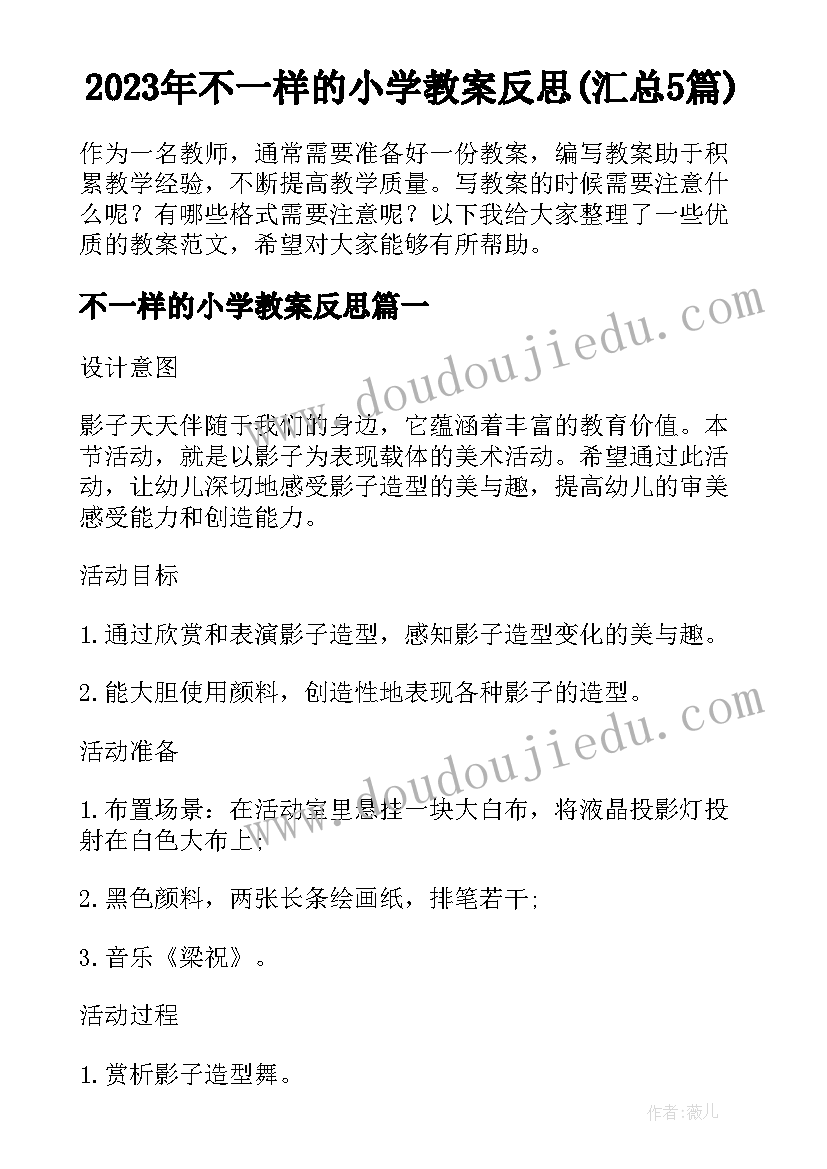 2023年不一样的小学教案反思(汇总5篇)