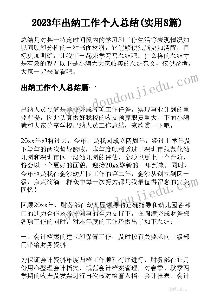 2023年出纳工作个人总结(实用8篇)