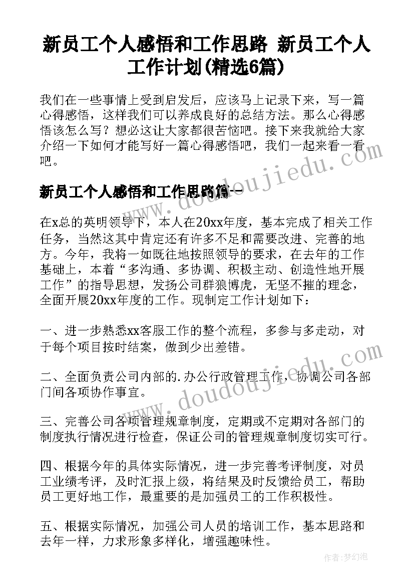 新员工个人感悟和工作思路 新员工个人工作计划(精选6篇)