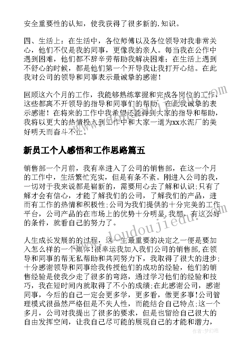 新员工个人感悟和工作思路 新员工个人工作计划(精选6篇)