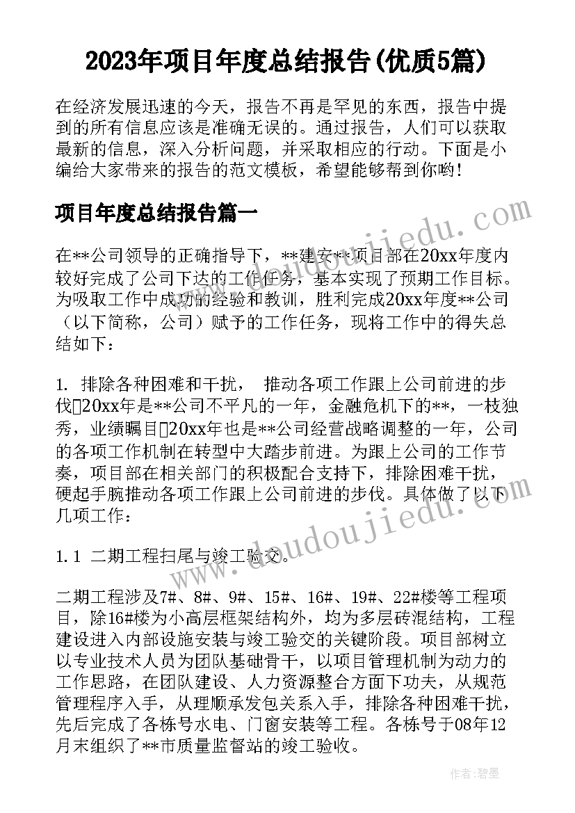 2023年项目年度总结报告(优质5篇)