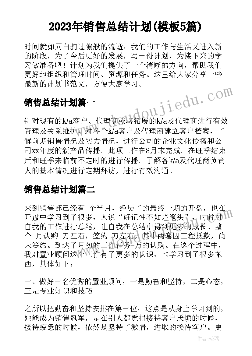 2023年销售总结计划(模板5篇)