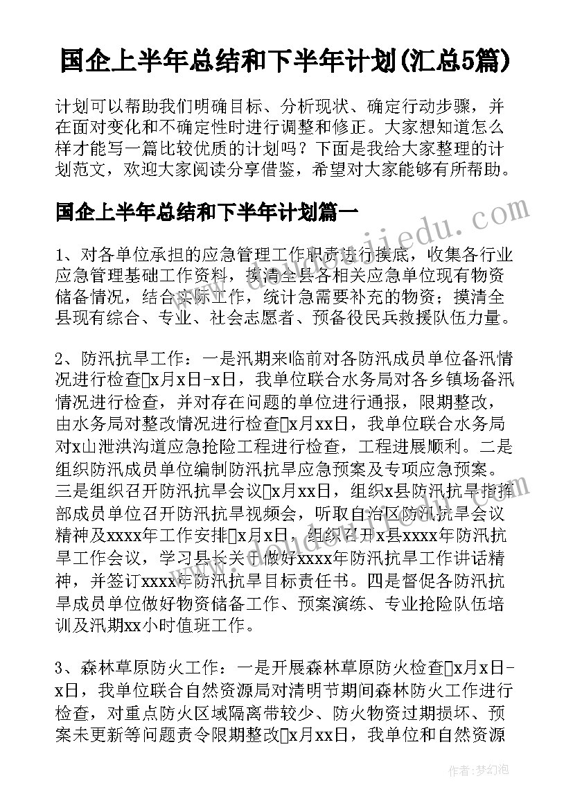 国企上半年总结和下半年计划(汇总5篇)