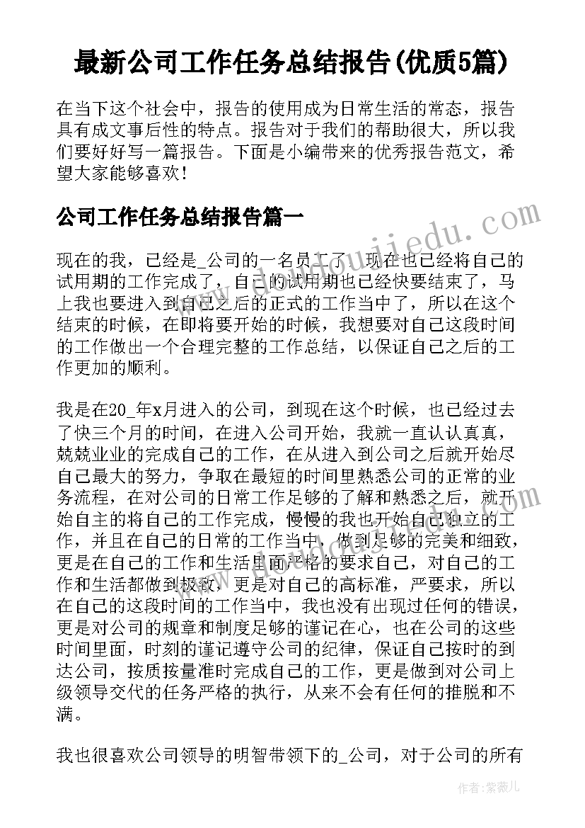 最新公司工作任务总结报告(优质5篇)