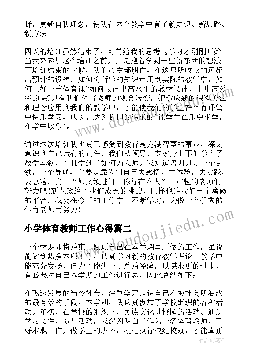 2023年小学体育教师工作心得 体育老师工作心得体会(模板5篇)