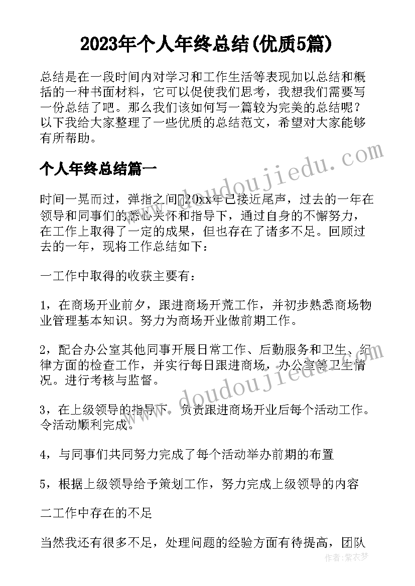 2023年个人年终总结(优质5篇)