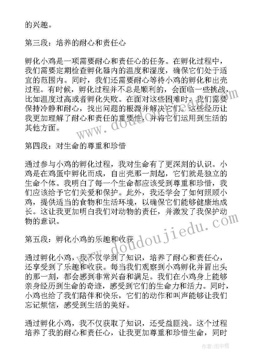 2023年小鸡回家了 小朋友孵化小鸡心得体会(大全7篇)