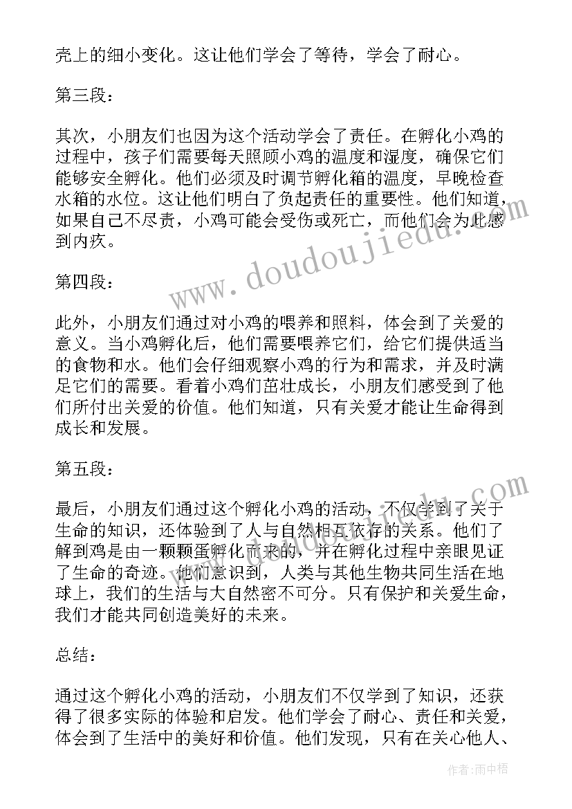 2023年小鸡回家了 小朋友孵化小鸡心得体会(大全7篇)