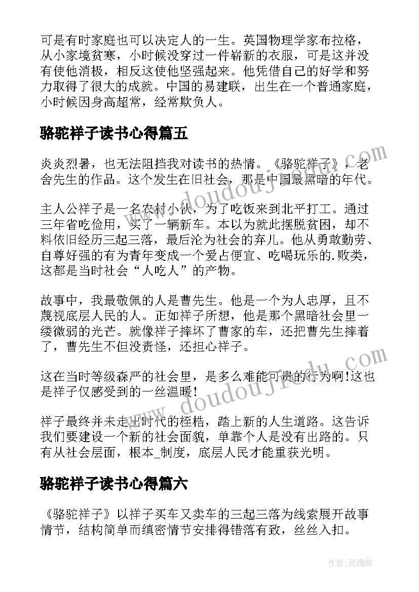 2023年骆驼祥子读书心得(通用9篇)